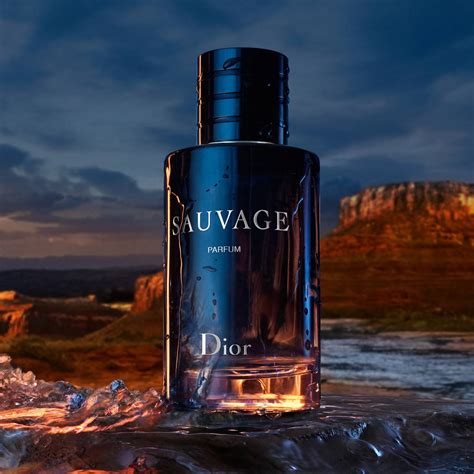 dior sauvage parfum price in india|dior sauvage cheapest price 100ml.